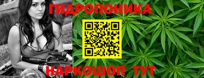 скорость Обнинск