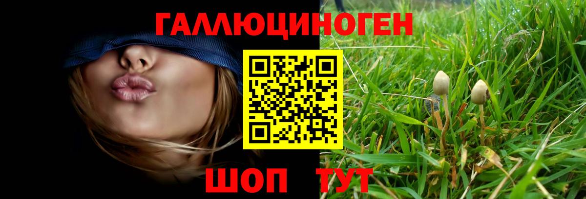 Псилоцибиновые грибы MAGIC MUSHROOMS  Вход с VPN  Хасавюрт 